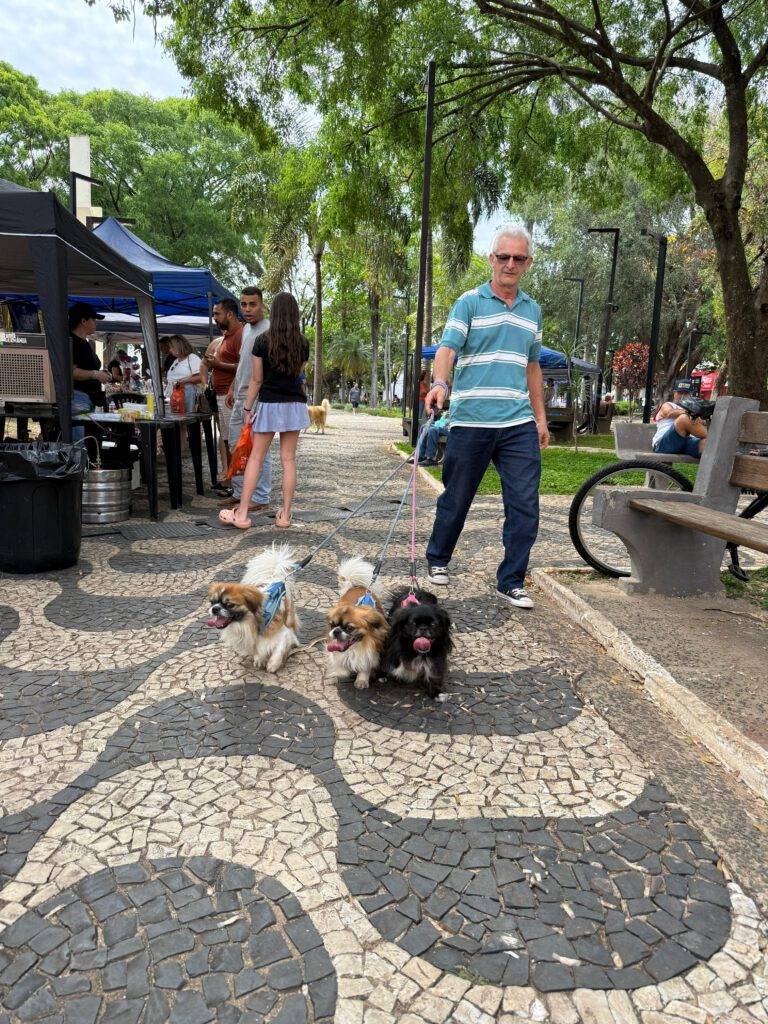 WhatsApp Image 2025-10-06 at 13.13.05 (3)