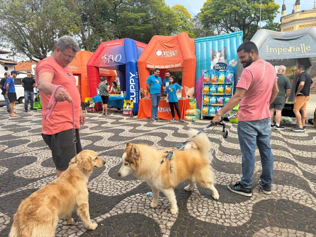 WhatsApp Image 2025-10-06 at 13.13.17