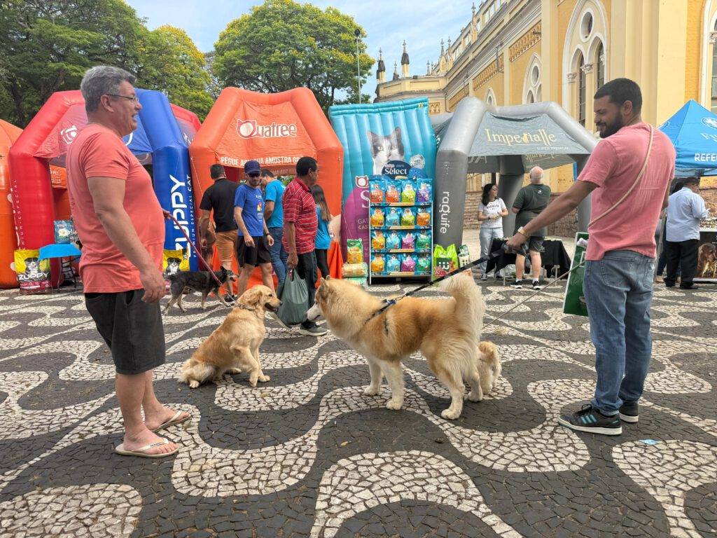 WhatsApp Image 2025-10-06 at 13.13.20 (1)