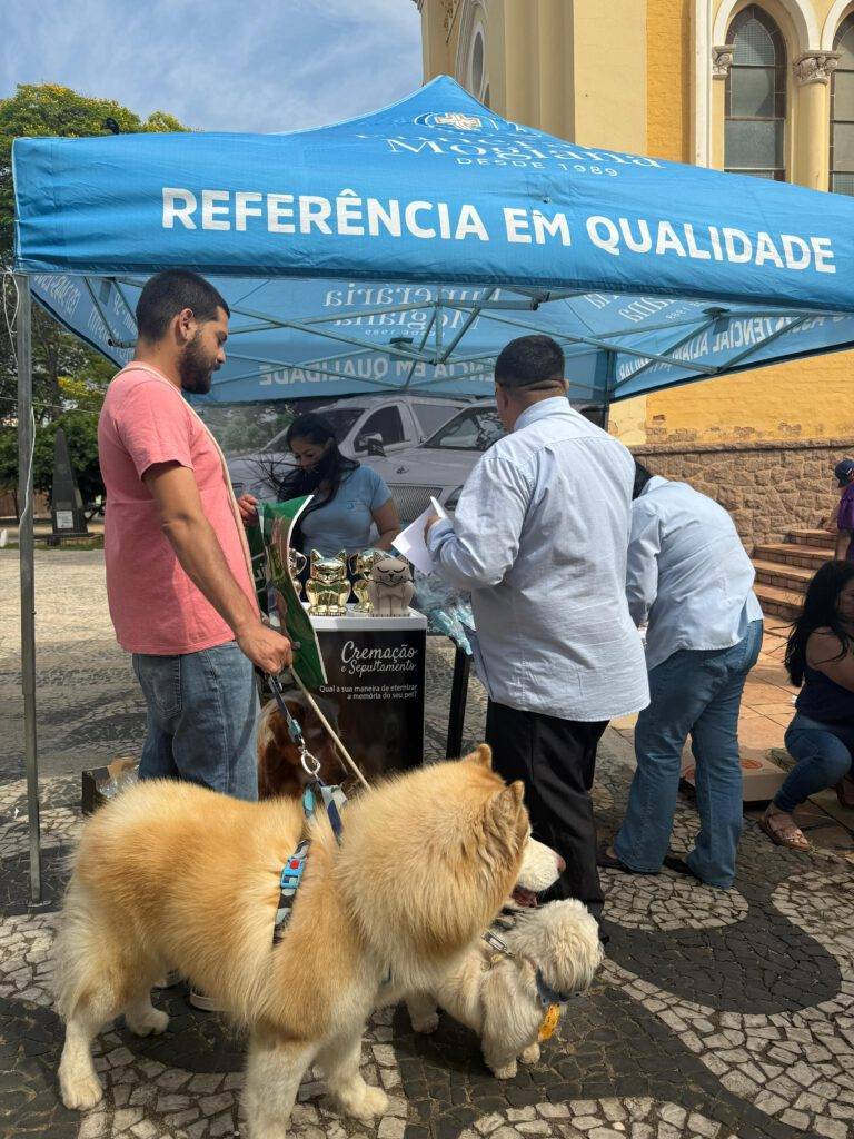 WhatsApp Image 2025-10-06 at 13.13.20 (4)