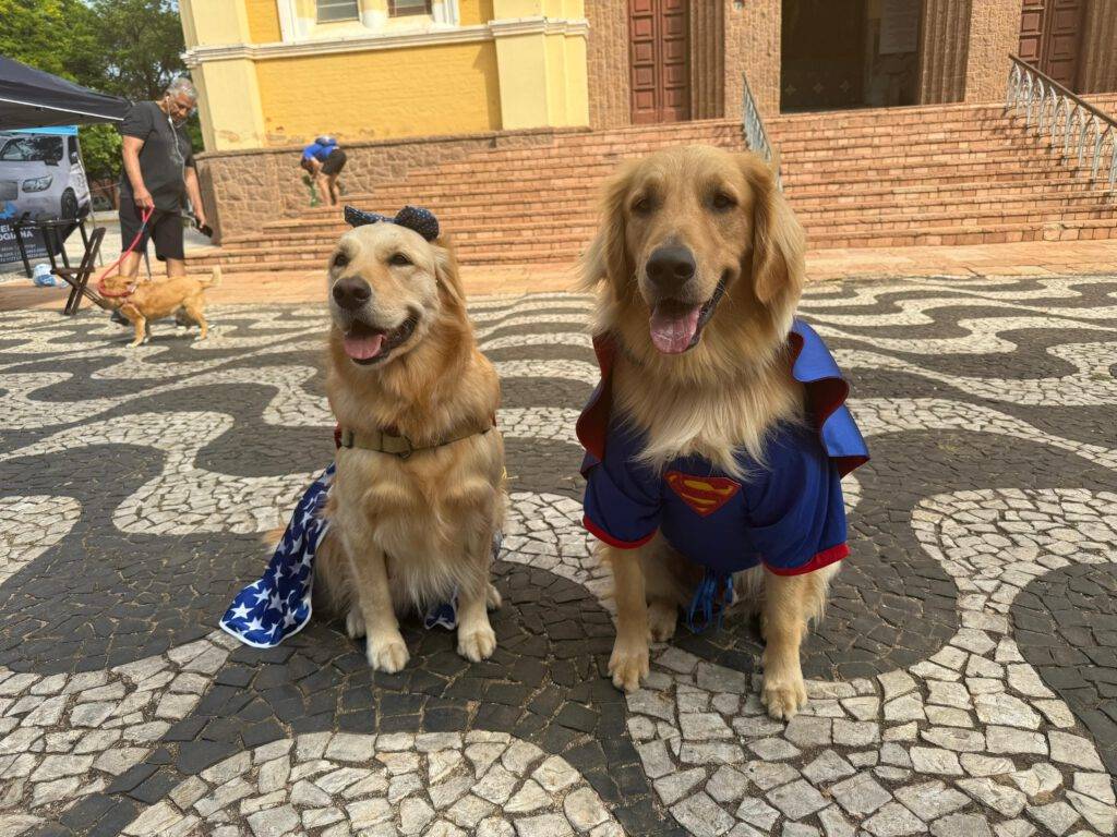 WhatsApp Image 2025-10-06 at 13.13.25